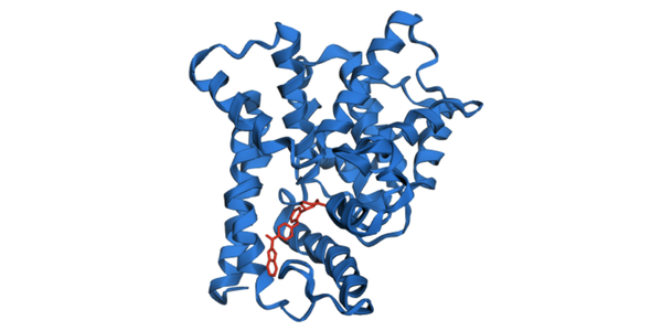 Nonparametric Biologic Design via Discrete Drifting